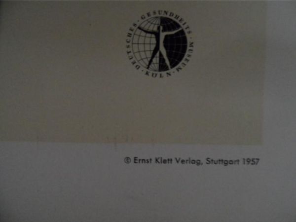 Vintage school map human